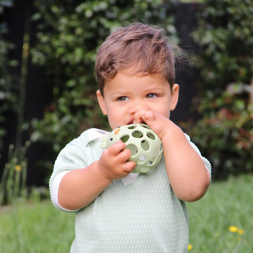 Toddler Teethers